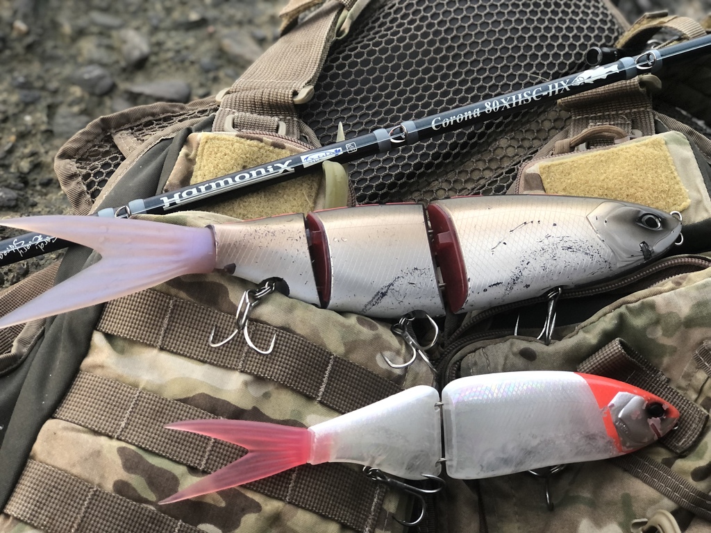 コローナ80を浦戸湾で振ってみて | 足立見聞録